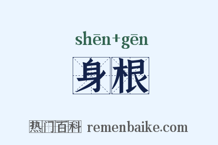 身根是什么意思的图片